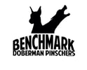BENCHMARK DOBERMANNS