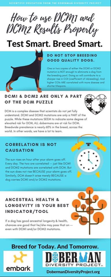 FAQ BENCHMARK DOBERMANNS