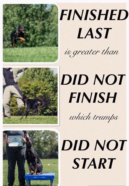 Tai nero shop dog trainer